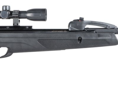 Gamo 611006875554 Swarm Whisper Gas Piston 22 Pellet 10rd Black Fluted/Rifled Barrel, Black Receiver Fixed All Weather Stock Scope 4x32mm