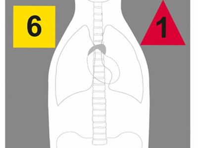 Action Target DTANTQA100 Training Multi-Purpose Silhouette Paper Hanging 23″ x 35″ Multi-Color 100 Per Box