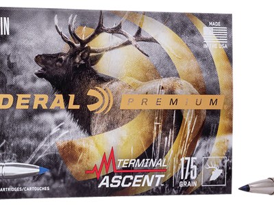 Federal P308TA1 Premium Terminal Ascent 308Win 175gr 20 Per Box/10 Case