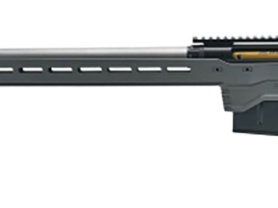 Savage Arms 57703 110 Elite Precision 6.5 Creedmoor 10+1 26″ Matte Stainless, Matte Black Rec, Gray Cerakote Adjustable MDT ACC Aluminum Chassis Stock, Left Hand (MB Not Included)