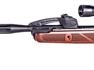 Gamo 611003875554 Swarm Bone Collector Gen 3 ITG 22 Black Black Steel Barrel Black Receiver Checkered Beechwood Beechwood w/Checkering Grip/Forearm Stock Scope 3-9x40mm