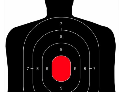 Birchwood Casey 35709 Dirty Bird Silhouette Target Silhouette Tagboard Target 12″ x 18″ 50 Per Pkg