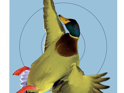 Birchwood Casey 35407 Pregame  Duck Paper Hanging Rifle/Shotgun 12″ x 18″ Impact Enhancement 8 Per Pkg