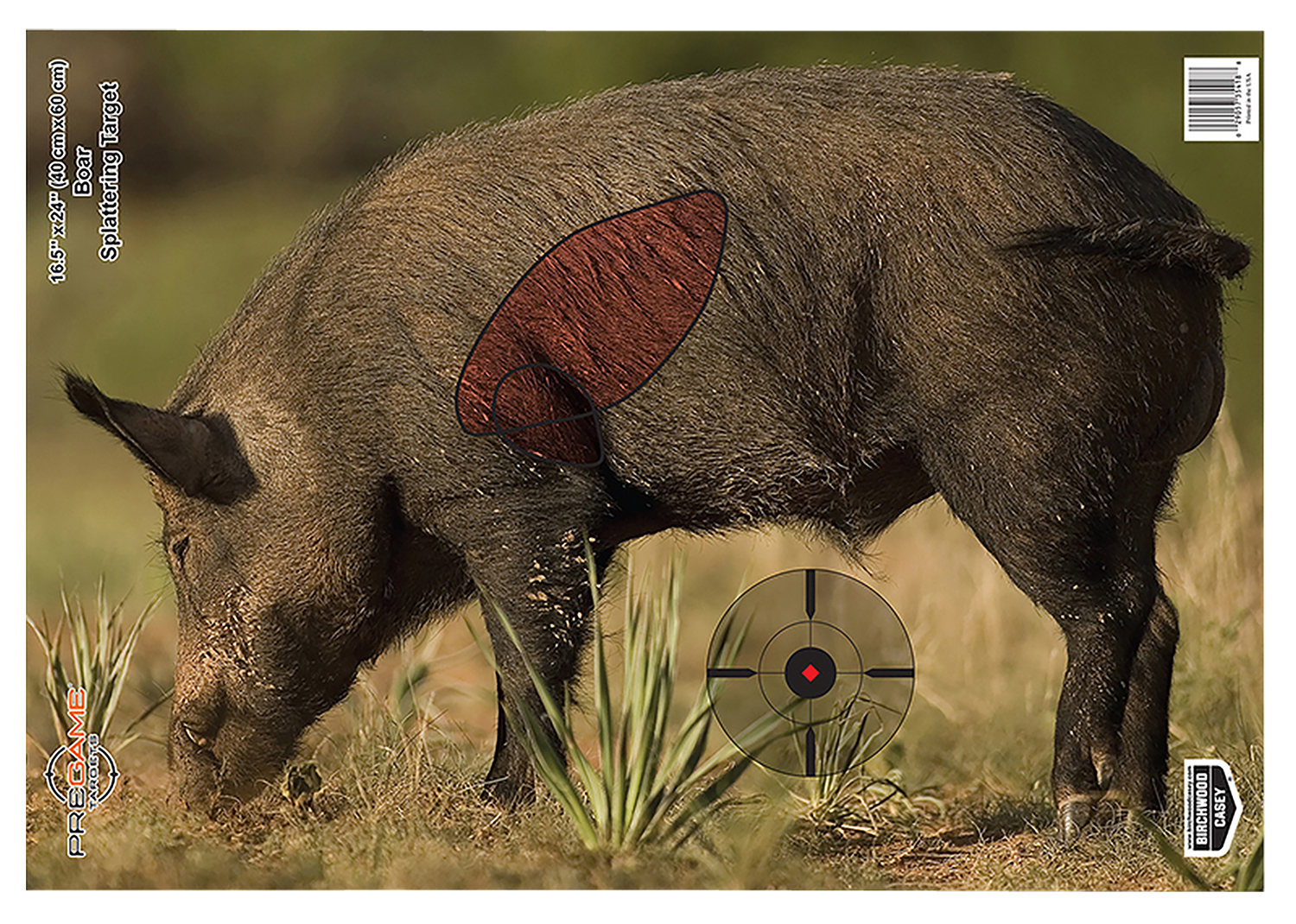 Birchwood Casey 35408 Pregame  Boar Paper Target 16.50″ x 24″ 3 Per Pkg