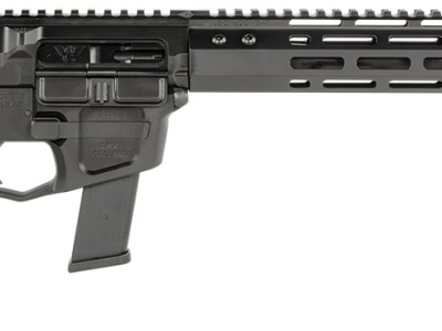 Wilson Combat TRAR9GB91610 AR9G Carbine 9mm Luger 17+1 16″ Black Match Grade Threaded Barrel, Black Armor-Tuff Aluminum Receiver, M-LOK Handguard, Black Synthetic Rogers Super-Stoc w/Cam-Lock Stock