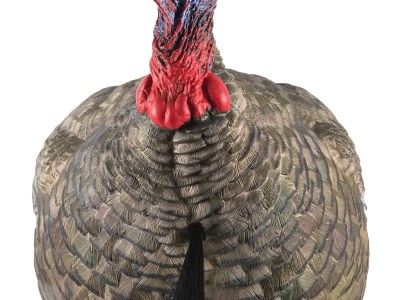Avian X AVXAVX8003 LCD Quarter-Strut Jake Turkey Species Multi Color Dura-Rubber