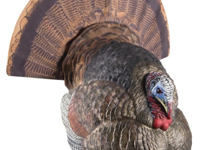 Avian X AVXAVX8004 LCD Strutter Turkey Species Multi Color Dura-Rubber