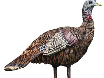 Avian X AVXAVX8006 LCD Lookout Hen Turkey Species Multi Color Dura-Rubber