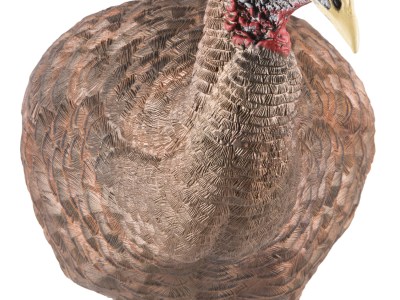 Avian X AVXAVX8008 LCD Breeder Hen Turkey Species Multi Color Dura-Rubber