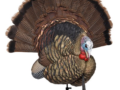 Avian X AVXAVX8021 Trophy Tom  Turkey Species Multi-Color *No Fan