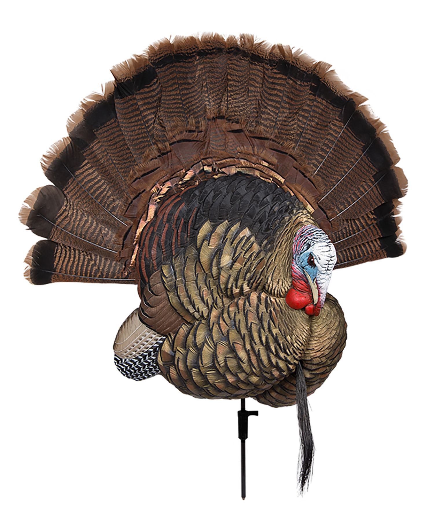 Avian X AVXAVX8021 Trophy Tom  Turkey Species Multi-Color *No Fan
