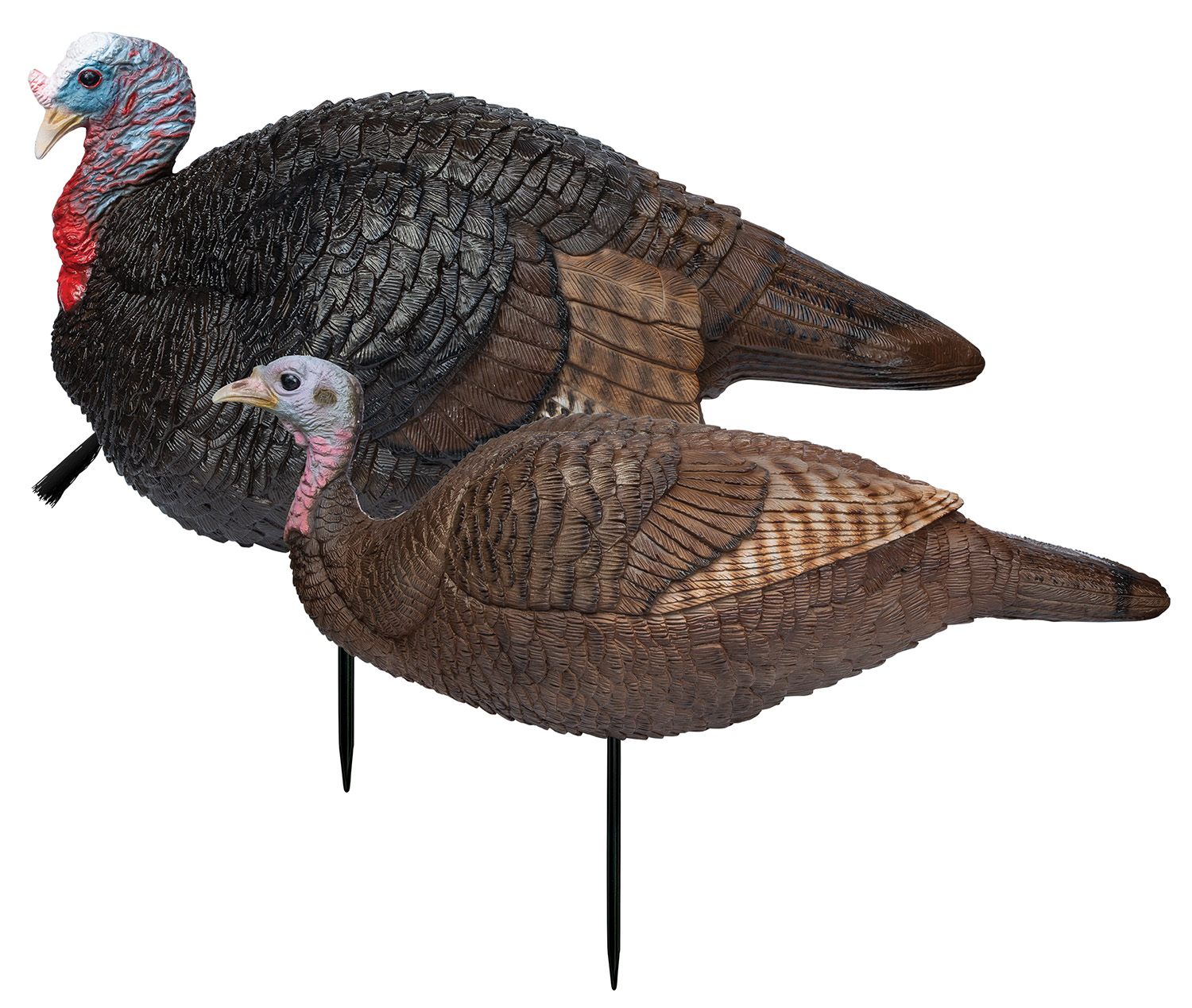 Primos 69075 Lil’ Gobblestopper Jake & Hen Combo Turkey Species Multi Color