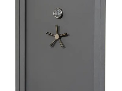 SnapSafe 75421 Vault Door Premium Dark Gray 81″ High 12 Gauge Steel