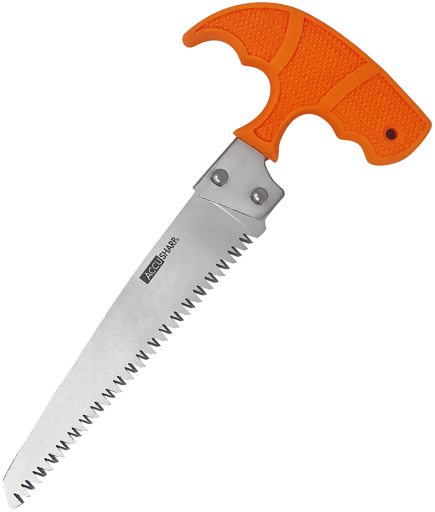 AccuSharp 730C Bone Saw  Fixed Saw 6″ Stainless Steel Blade/ Blaze Orange T-Shaped Handle