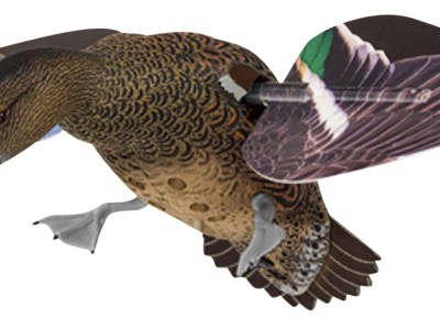 Avian X AVXPFLHT PowerFlight Hen Green-Winged Teal spinning wing decoy