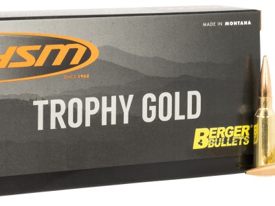 HSM 6ARC95VLD Trophy Gold Extended Range 6mm ARC 95 gr 20 Per Box/ 25 Case