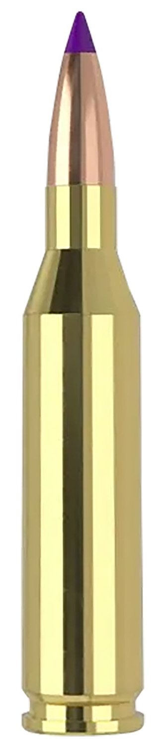 Nosler 40041   243Win 70gr Ballistic Tip Varmint 20 Per Box/10 Case