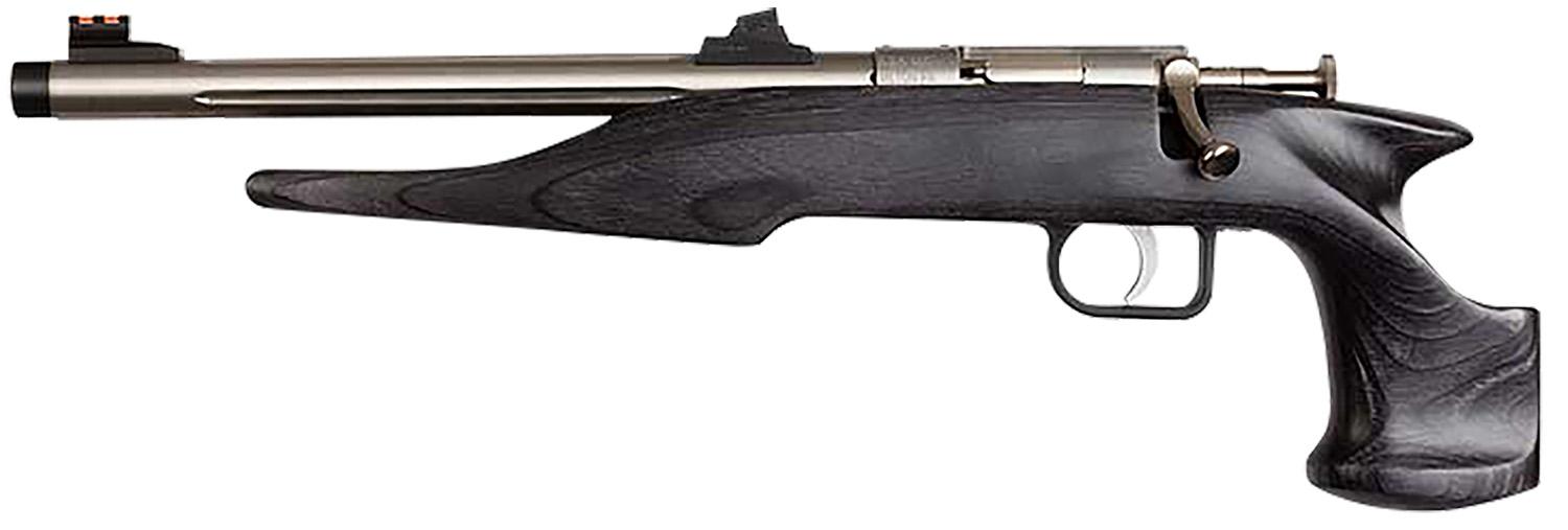 Chipmunk 40103 Hunter  Youth Frame 22 LR Single Shot 9″ Threaded Stainless Steel Barrel, Black Laminate Frame