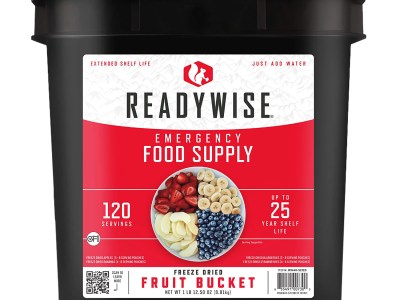 Wise Foods RW4052120 Emergency Supplies Freeze Dried Fruit 120 Servings