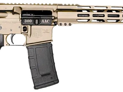 Diamondback DB1718B062 DB15  300 AAC Blackout 30+1 16″ Black Nitride Threaded Barrel, Flat Dark Earth Cerakote Aluminum/Carbon Receiver w/Picatinny Rail Receiver, M-LOK Handguard, Magpul MOE Grip