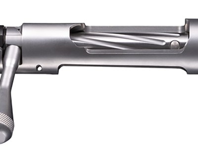 Bergara Rifles BPSAPRC Premier Action  Stainless Steel Remington 700