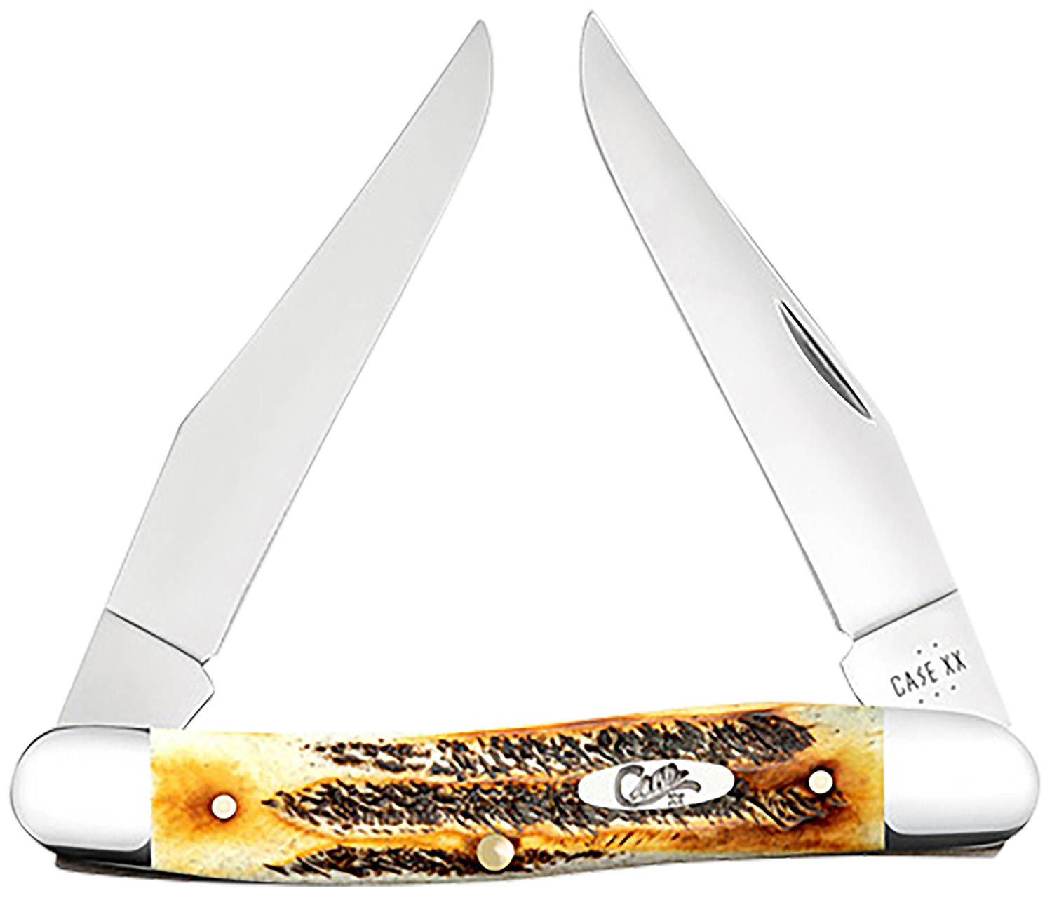 Case 65346 Muskrat  2.90″ Folding Clip Point Plain Polished Tru-Sharp SS Blade, Burnt Dark Amber 6.5 BoneStag Handle