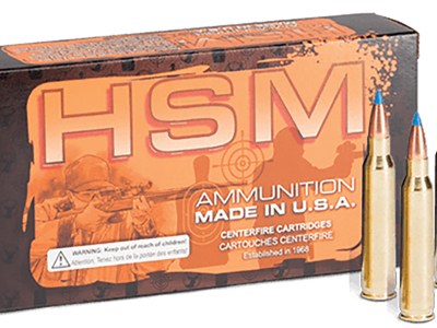 HSM 204R3N   204Ruger 32gr BlitzKing 20 Per Box/20 Case