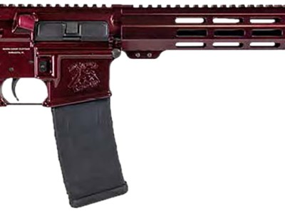 Shark Coast Tactical 300-040-1000-00 Blaze  5.56 NATO 30+1 16″ Black Nitride Threaded Barrel, Red Blaze Cerakote Picatinny Rail Aluminum Receiver, Magpul SL-K Black Polymer Stock, Black Polymer Grip