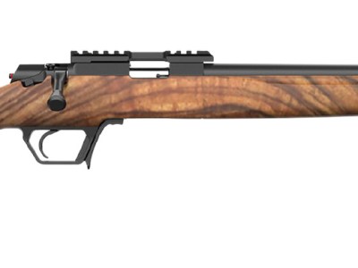 Retay USA ASD22-SWAL-16 Asend Hunter 22 LR 10+1 16″ Black Heavy Barrel, Black Chrome Receiver w/Picatinny Rail, Turkish Walnut Fixed Stock