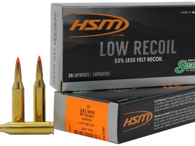 HSM 24318N Low Recoil  243 Win 85 gr Orange Polymer Tip 20 Per Box/ 25 Case