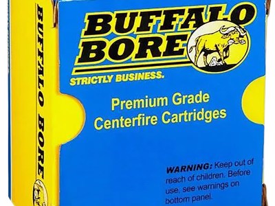 Buffalo Bore Ammunition 13B20 Heavy Strictly Business 480Ruger 370gr Lead Flat Nose 20 Per Box/12 Case