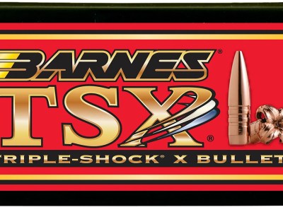 Barnes Bullets 30700 TSX  50BMG 647gr Boat Tail 20/Box