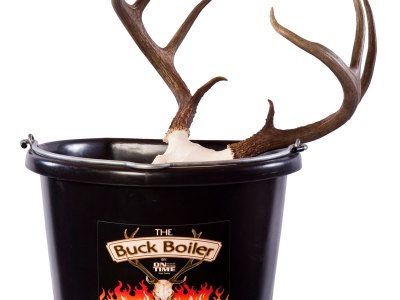 On Time 95000 Buck Boiler  All-Electric System for European Dressed Hunting Trophies
