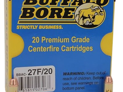 Buffalo Bore Ammunition 27F20 Standard Pressure Strictly Business 380ACP 95gr Full Metal Jacket Flat Nose 20 Per Box/12 Case
