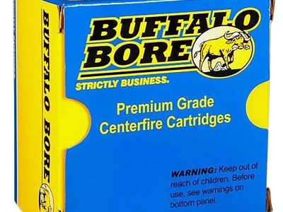 Buffalo Bore Ammunition 21A20 Heavy Strictly Business 10mmAuto 200gr Full Metal Jacket Flat Nose 20 Per Box/12 Case