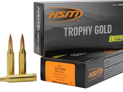 HSM 24395VLD Trophy Gold Extended Range 243 Win 95 gr Berger Hunting VLD Match 20 Per Box/ 25 Case