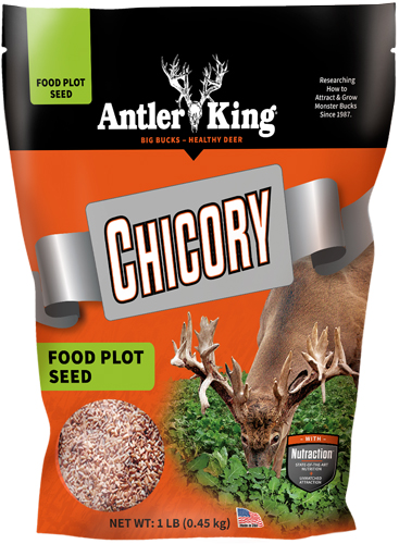 ANTLER KING CHICORY 1# BAG – PERENNIAL 1/4 ACRE