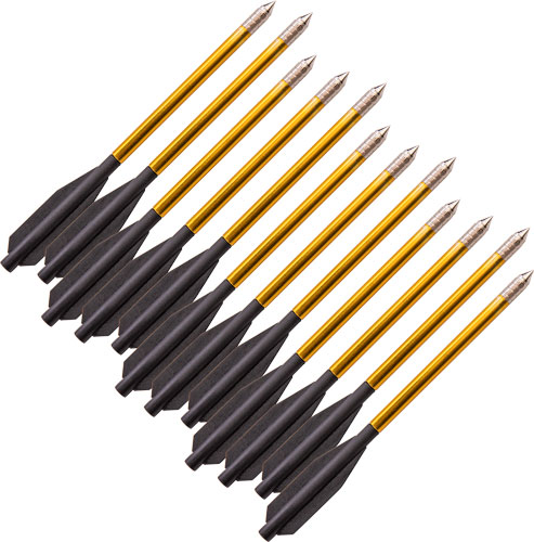 BEAR-X DESIRE CROSSBOW BOLTS – 12PK