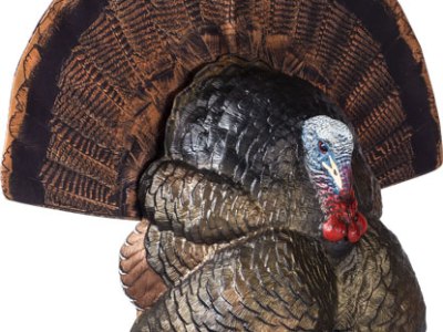 FLEXTONE THUNDER CREEPER – STRUTTER DECOY W/ FOLDING FAN