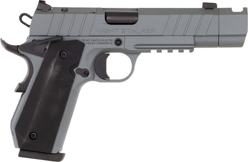 TISAS 1911 B9BA NSSF-C 9MM – 4.25″ BBL 10RD W/CASE GREY