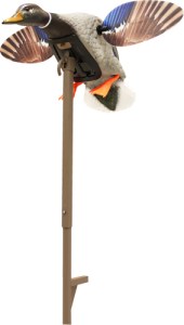 MOJO ELITE SERIES MINI MALLARD – DRAKE DECOY