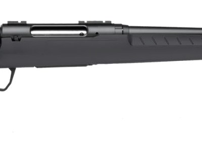 SAVAGE ARMS AXIS 2 22-250 BL/GRY 22″