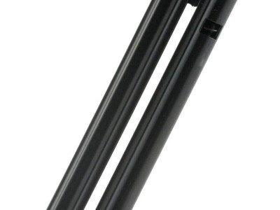 PROMAG BUCKMARK .22LR 10RD