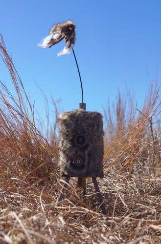 MOJO SUPER CRITTER W/CRITTER – TOPPER & SPEAKER