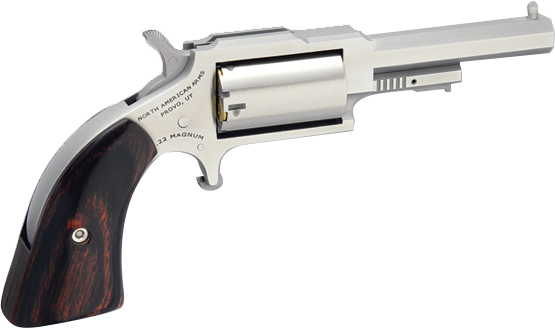 NORTH AMERICAN ARMS SHERIFF 22LR/22MAG 2.5″ SS 5SH