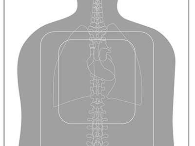 Action Target FTQ15ANTAV2100 Qualification  Silhouette/Vitals Paper 23″ x 35″ Gray/White 100 Per Box