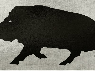 EZ-Aim 15801 Boar Adhesive Thermal ID Paper 24″ x 12″ Black/Gray