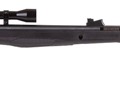 Beeman 1061622 Air Rifle Combo 22