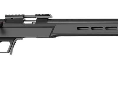 Retay USA ASD22-BLK-16 Asend Sporter 22 LR 10+1 16″ Black Heavy Barrel, Black Chrome Receiver w/Picatinny Rail, Black Fixed Synthetic Stock