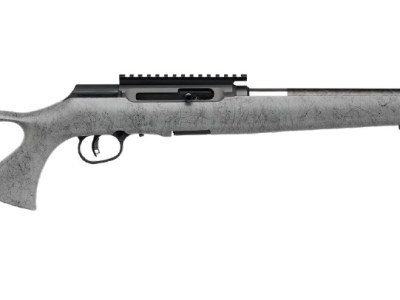 SAVAGE ARMS A22 22LR BL/GRY 18″ CARBON TB